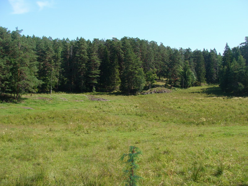 Северо-Запад